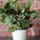 Thumbnail: Artificial Plant Pot of Herbs Rosemary and Mint