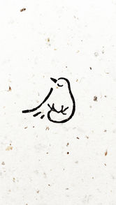 A story of the little bird.