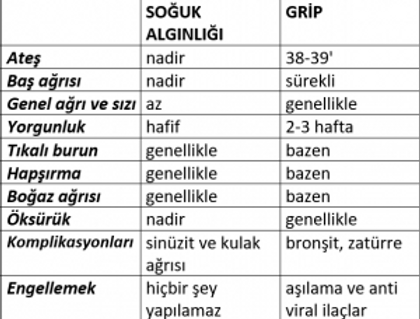 Ekran-Alıntısı3323232-300x231.png