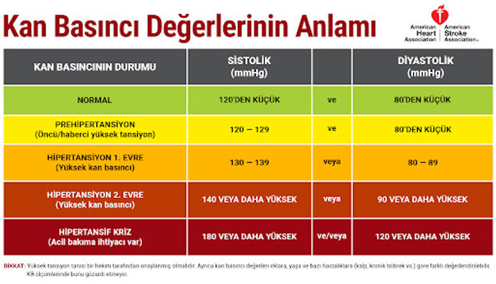 678567569ı7.jpg