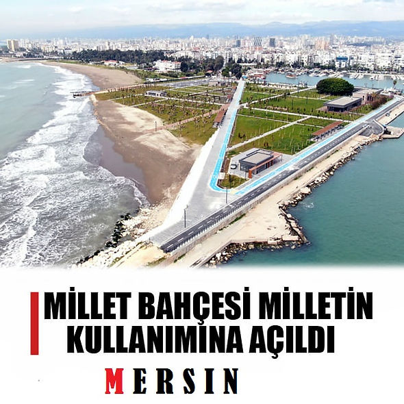 MİLLET.jpg