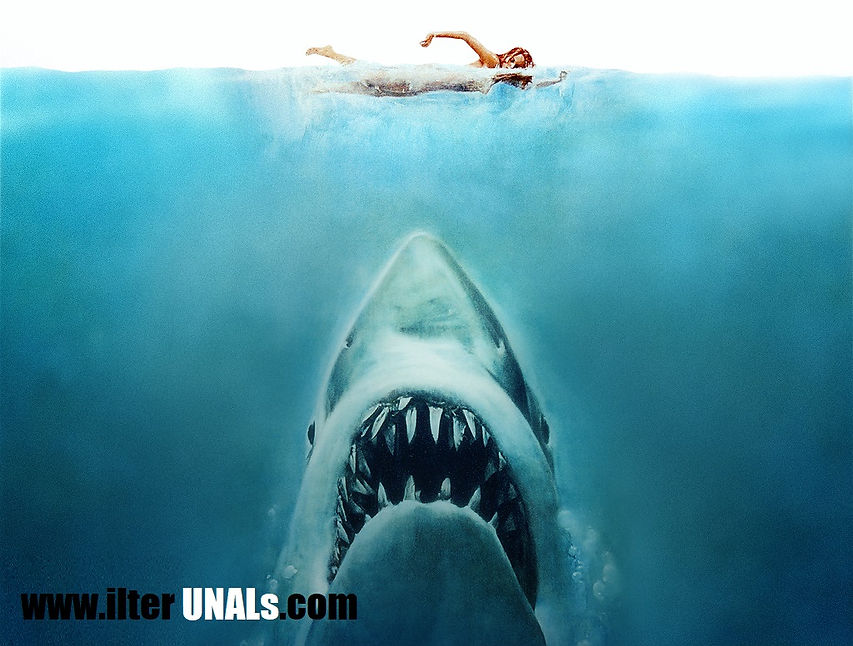 JAWS.jpg