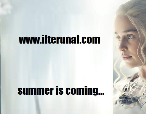 summer.jpg