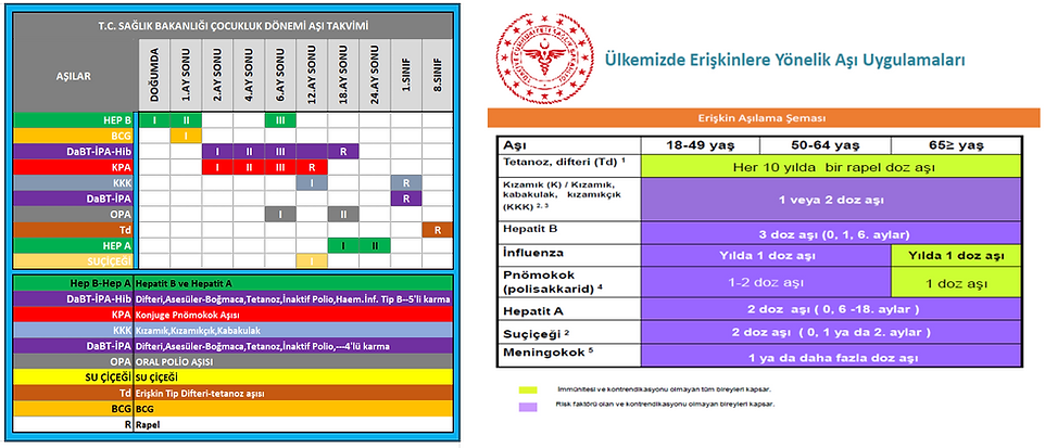 aşı büyük küçük.png