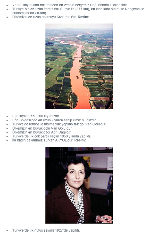 T4.png