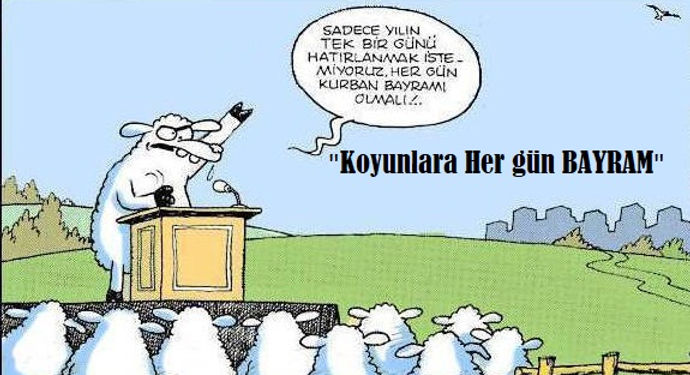 hergün1.jpg