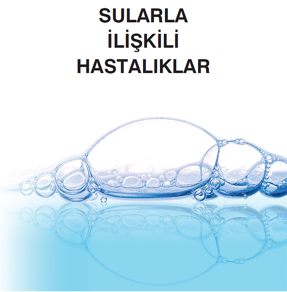 SULAR.png
