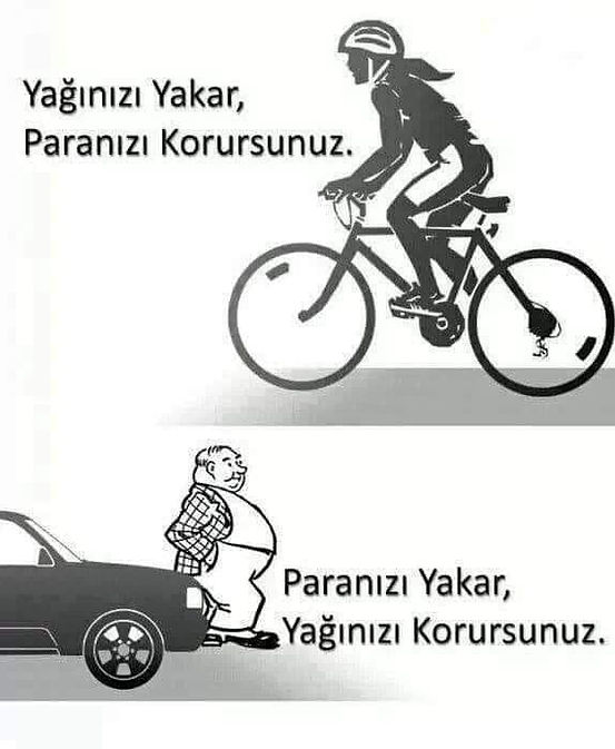 pissk,ilet.jpg