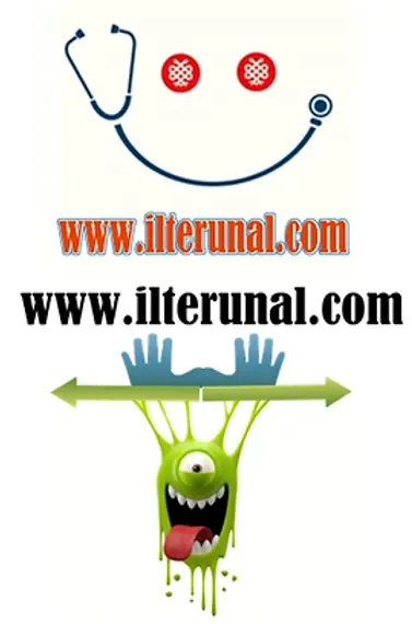 iu74578478.webp