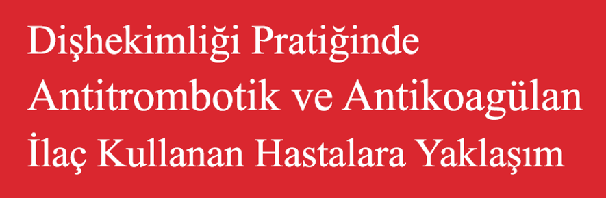 PRATİK.png