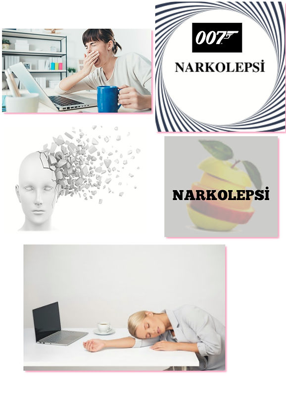 narkolepsi23i.jpg