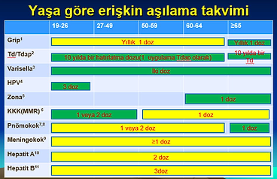 erişkin aşılama.png