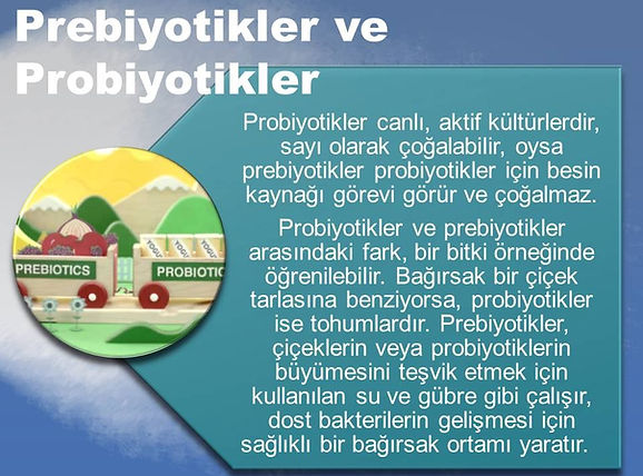 P6.jpg