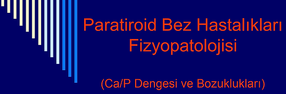 paratiroit bez hastalıkları.png