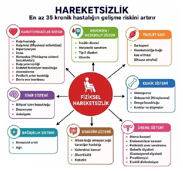 hareket.png