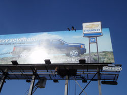 billboard metal support