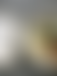 An egg dish in a plate