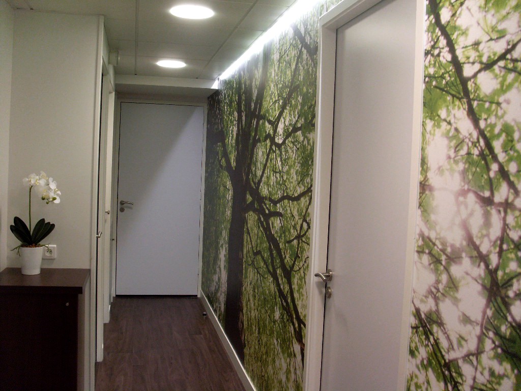 AVENIR SANTE MUTUELLE