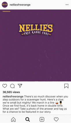 scavengerhunt_ants2-1.gif