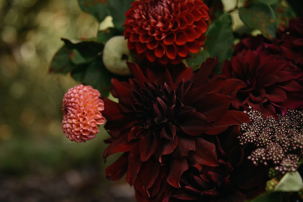 moody midsummer reds