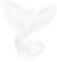 Original on transparent_edited_edited.pn