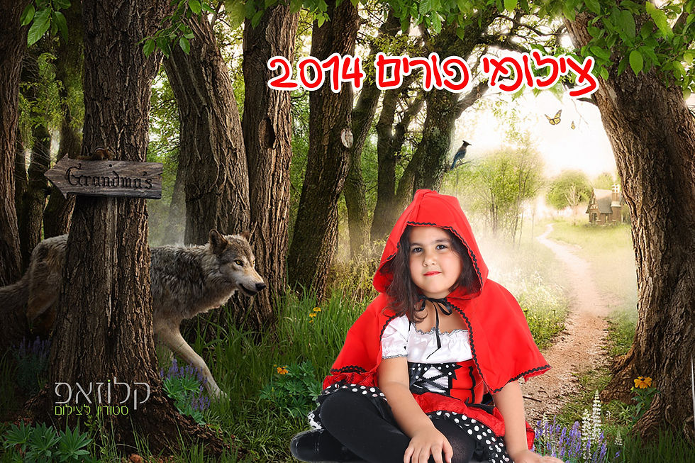 צילום פורים