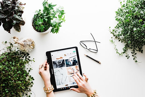 Garden + tablet.jpeg