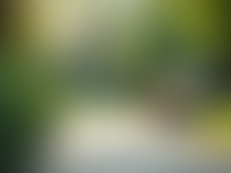 Faith-Based Leadership Strategies for Employee Engagement