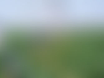 Protecting the Lifeline: The future of irrigation from the Ogallala Aquifer