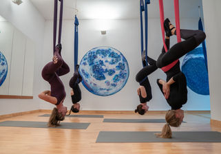 Clase de yoga aéreo: cuatro mujeres en hamacas, estiramientos invertidos