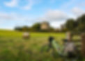 Field
