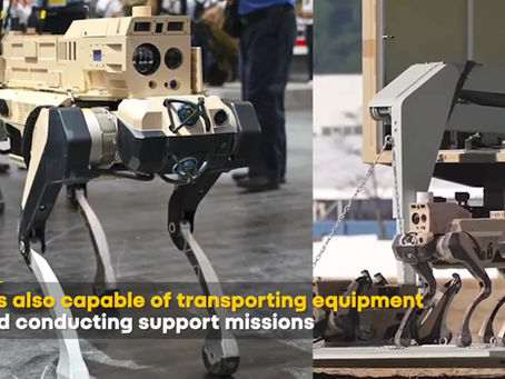 RoboWölfe: Chinas AI-Kriegsroboter und warum Preppers davon wissen müssen