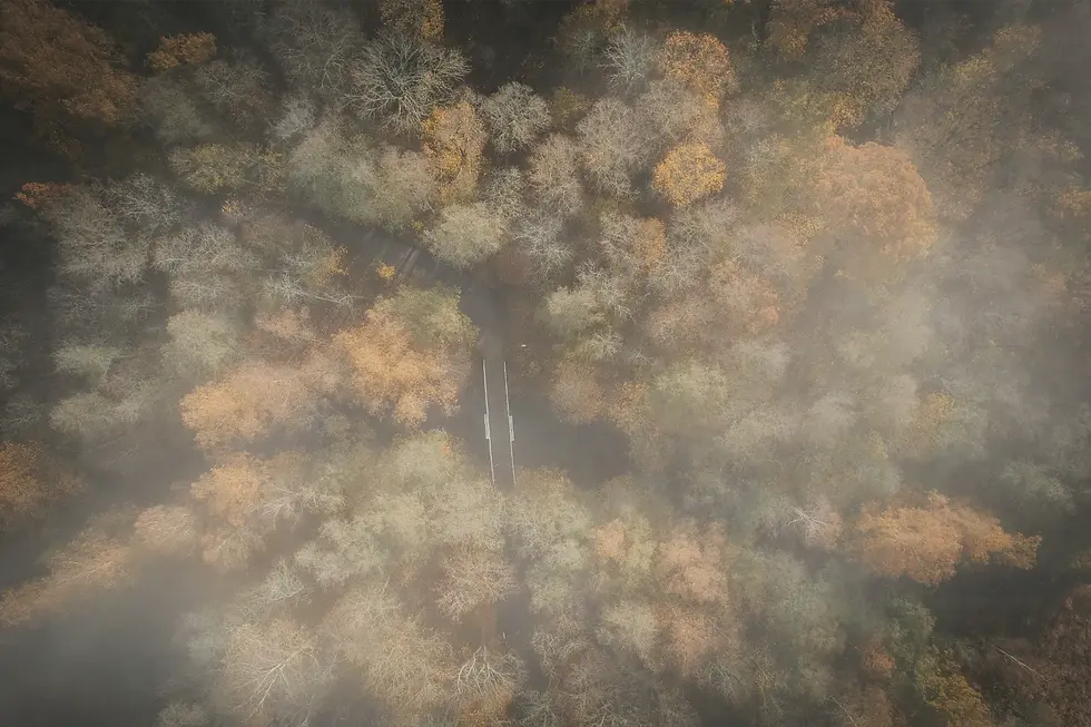 DJI_0636.webp