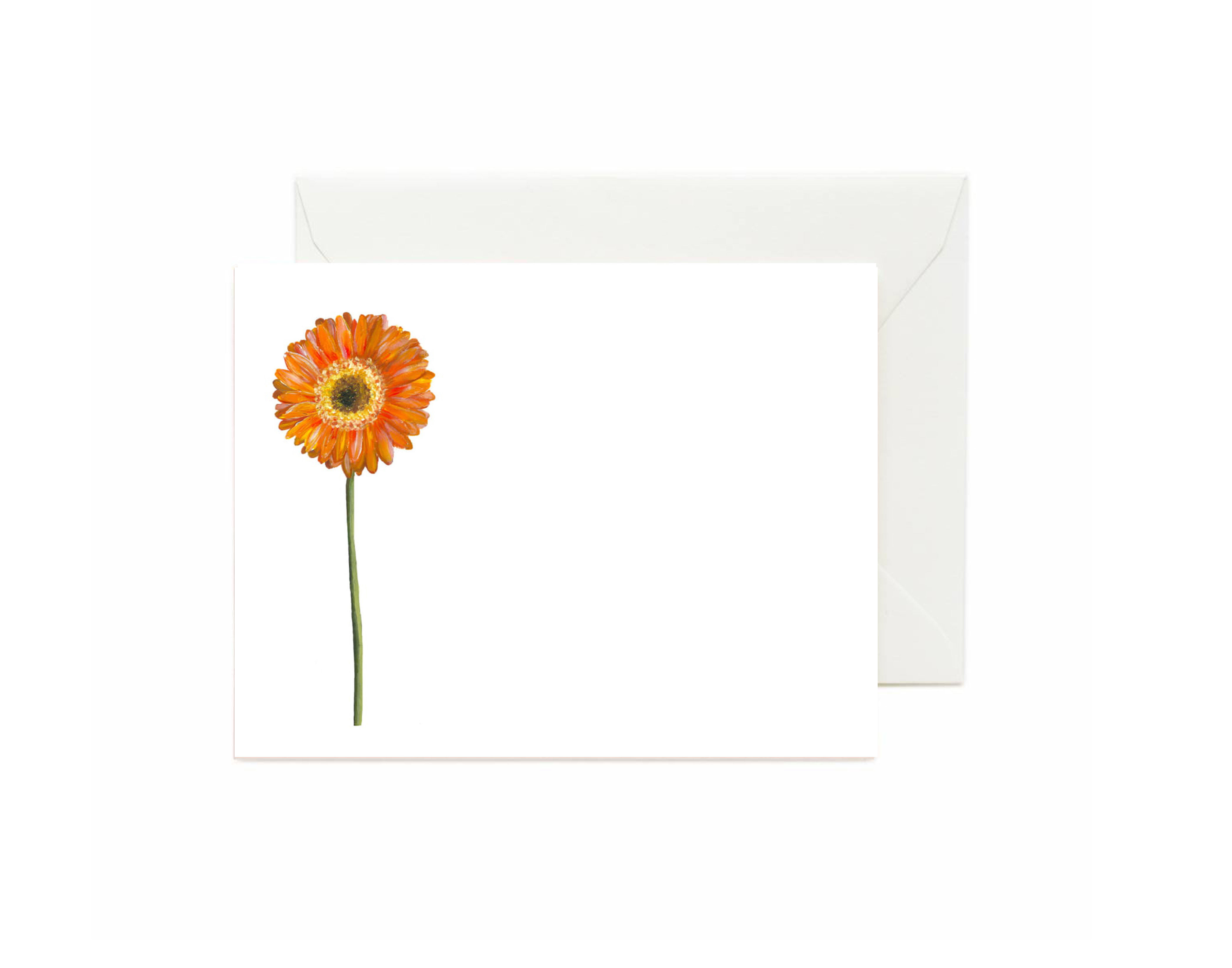 Gerbera Daisy Flat Note Cards