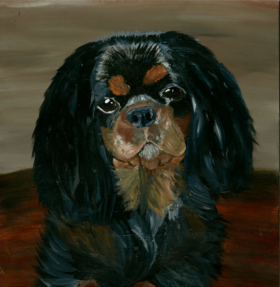 Thumbnail: Hartley - Cavalier King Charles Spaniel Folded Note Cards