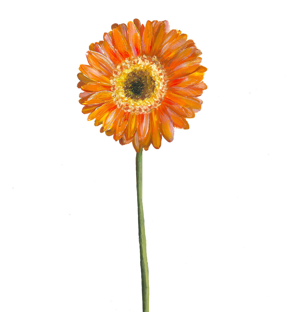 Thumbnail: Gerbera Daisy Gift Tags