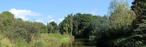 Natuurgebied Biesland 's Gravenmoer