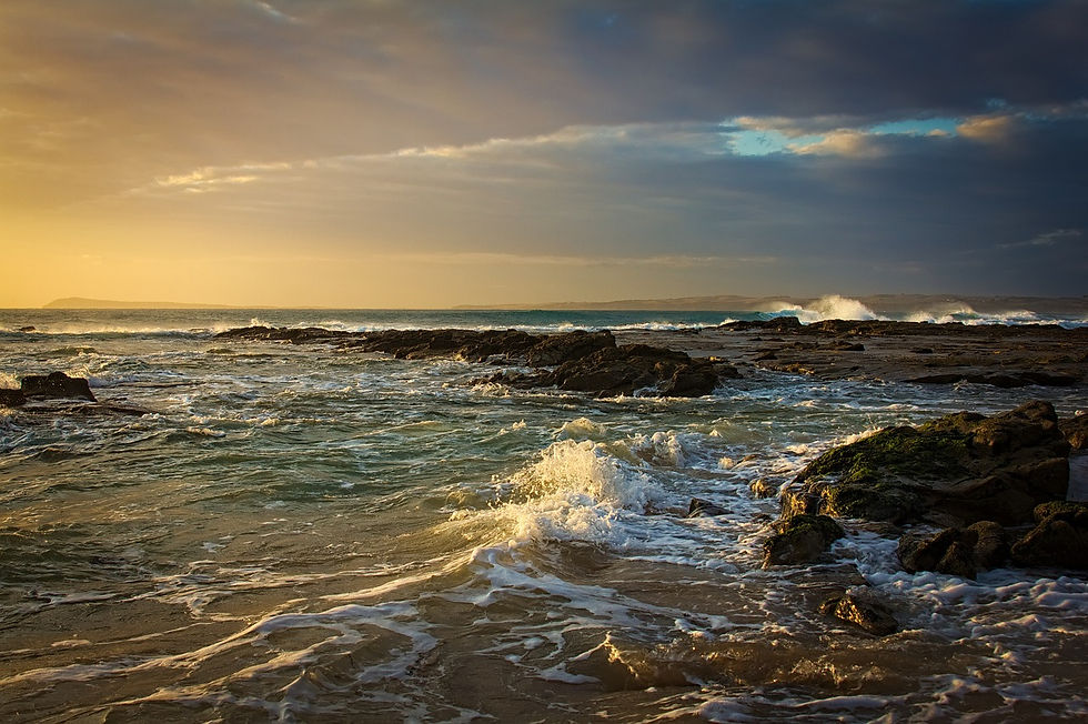 beach-4591457_1280.jpg