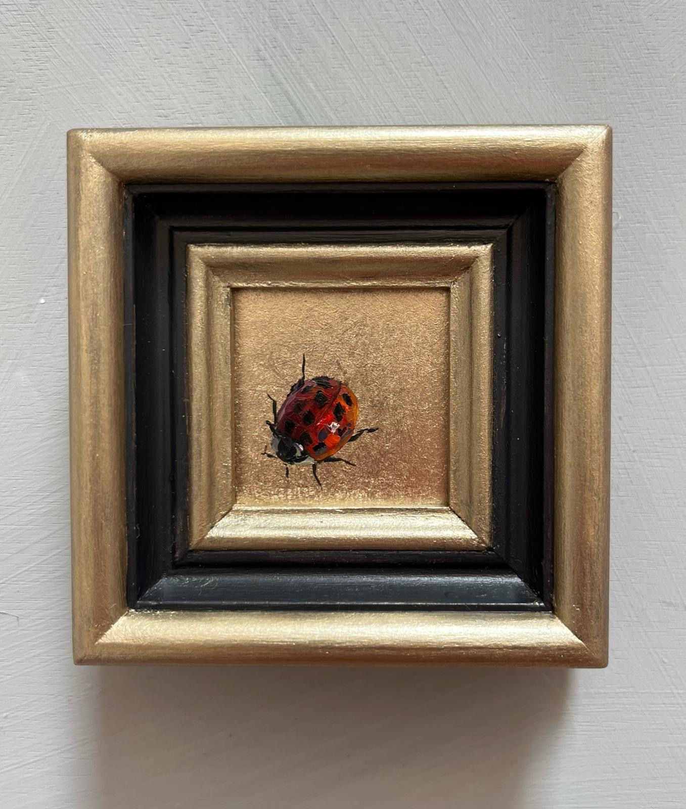 Ladybird no.2