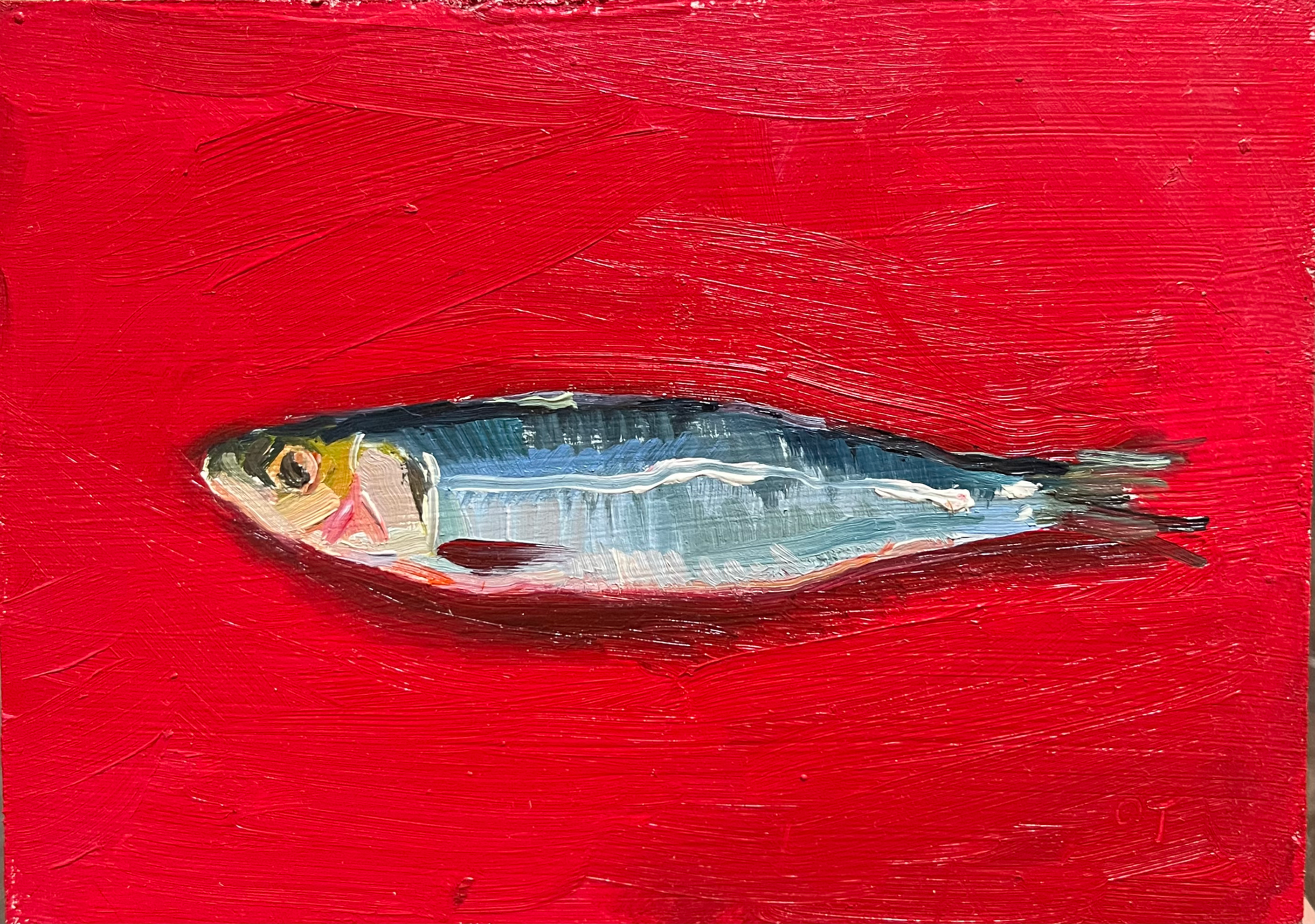 Vermillion Sardine