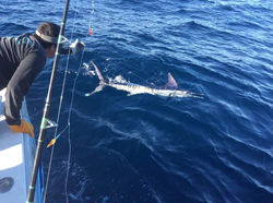 12573967_567316130095213_20562945293659773_n