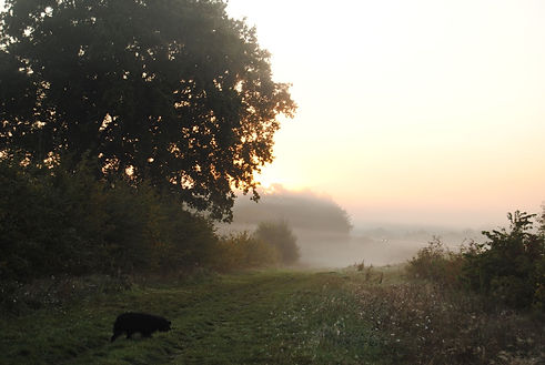 UNADJUSTEDNONRAW_thumb_1371 2.jpg