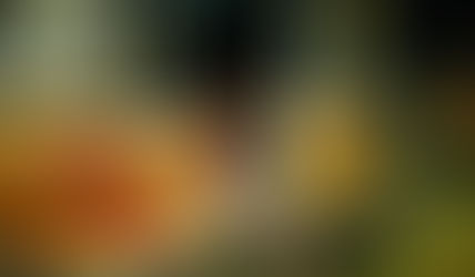 【小说】最后一班地铁