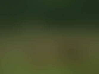 【诗歌】重叠 在白寒的意识里重叠