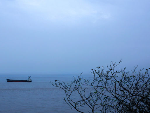 【随笔】我好像从来没有那种集体感