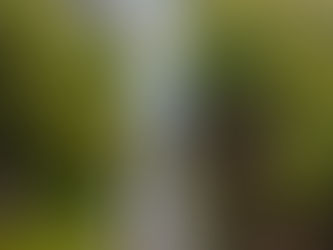 【工作采访】戒前法师采访