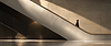 woman_ascelerator.png