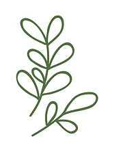 Green Botanicals - Social Legacy Consulting (2).png