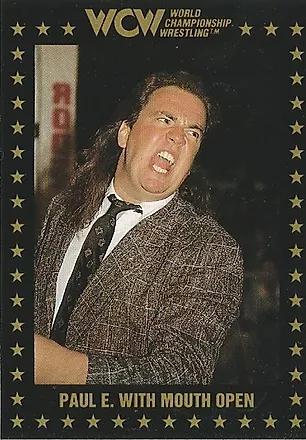 WCW Championship Marketing ing