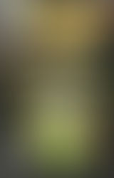 Marvel's WCW Comic Book Issue # 4